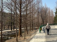 -白水寺森林公园
