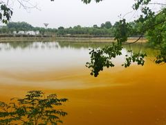 -武汉紫薇都市田园