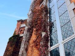 -上海影视乐园