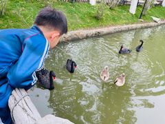 -上海野生动物园老虎餐厅