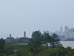 -江心屿景区