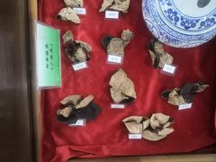 -广东中医药博物馆