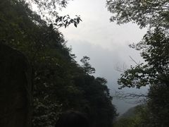 -藏龙百瀑风景区