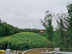 -同里国家湿地公园