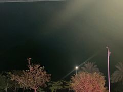 -钱大妈海鲜饭店(保利林语店)