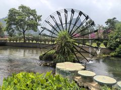 -靖西鹅泉风景区