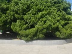 -旅顺博物馆