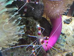 -太平洋海底世界