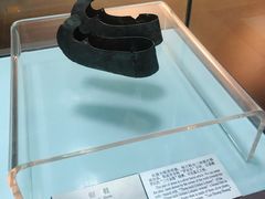 -衢州市博物馆