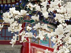 -西安市广仁寺