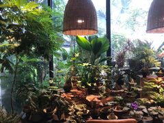 -自由生长植物工作室(深港花卉中心店)