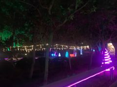 -枫花园汽车电影院(朝阳公园店)