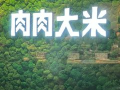 -肉肉大米(德基广场店)