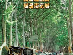 -夫子庙秦淮河画舫