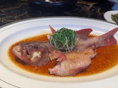 -茉里观邸(民国洋楼店)