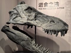 -自贡恐龙博物馆