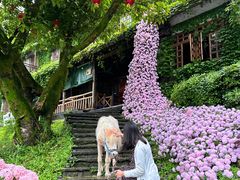 -巴倒烫陆派火锅山庄(南山总店)