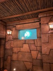 -翱翔飞越地平线