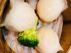 -禄興記香港大排档(歌斐中心店)