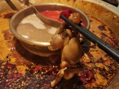 -哥老官重庆美蛙鱼头(龙湖杭州金沙天街店)