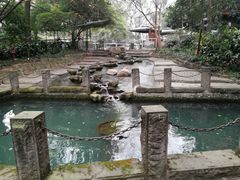 -成都市活水公园