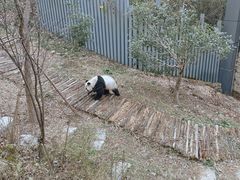 -黔灵山公园