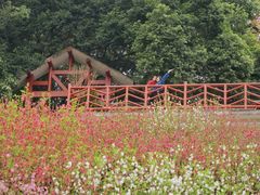-广州市白云山风景名胜区