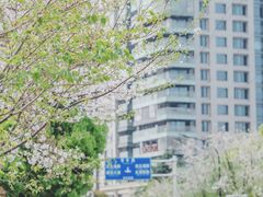 -西北湖绿化广场