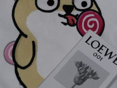 -LOEWE罗意威(万象城店)