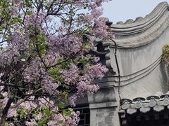 -北京奥林匹克公园
