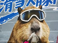 -广州热雪奇迹