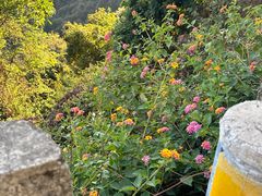 -求水山公园