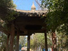 -云碧峰国家森林公园