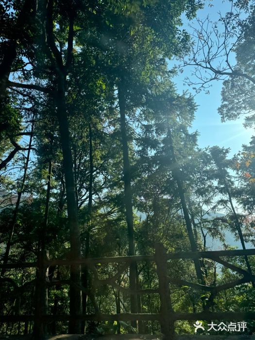 广州市石门国家森林公园图片