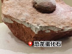 -衢州市博物馆