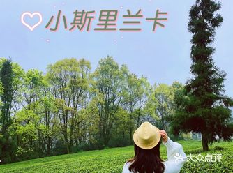 不去斯里兰卡，这个重庆周边超美茶园值得一去