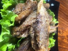 -屯屯面(海尔路店)