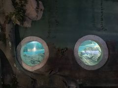 -苏州海洋馆