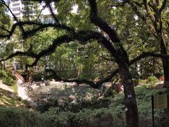 -香港大学