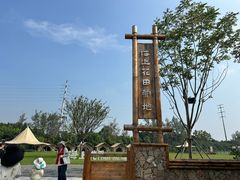 -杭州湾海上花田景区