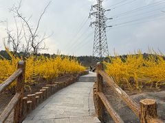 -白水寺森林公园