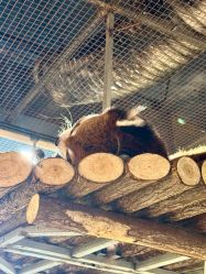 -Zoolung Zoolung动物主题公园(海信广场店)