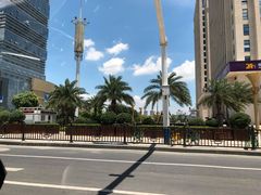 -亚马逊环球美食百汇(新城吾悦广场店)