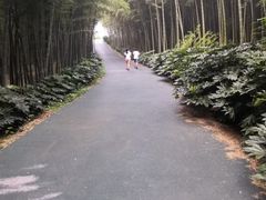 -石塘人家