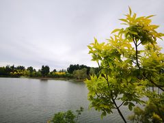 -东郊湿地公园