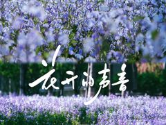-将府公园