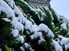 -大钟寺古钟博物馆