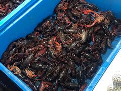 -嘉荟市场(北新泾店)