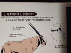 -天津自然博物馆