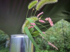 -上海滨江森林公园